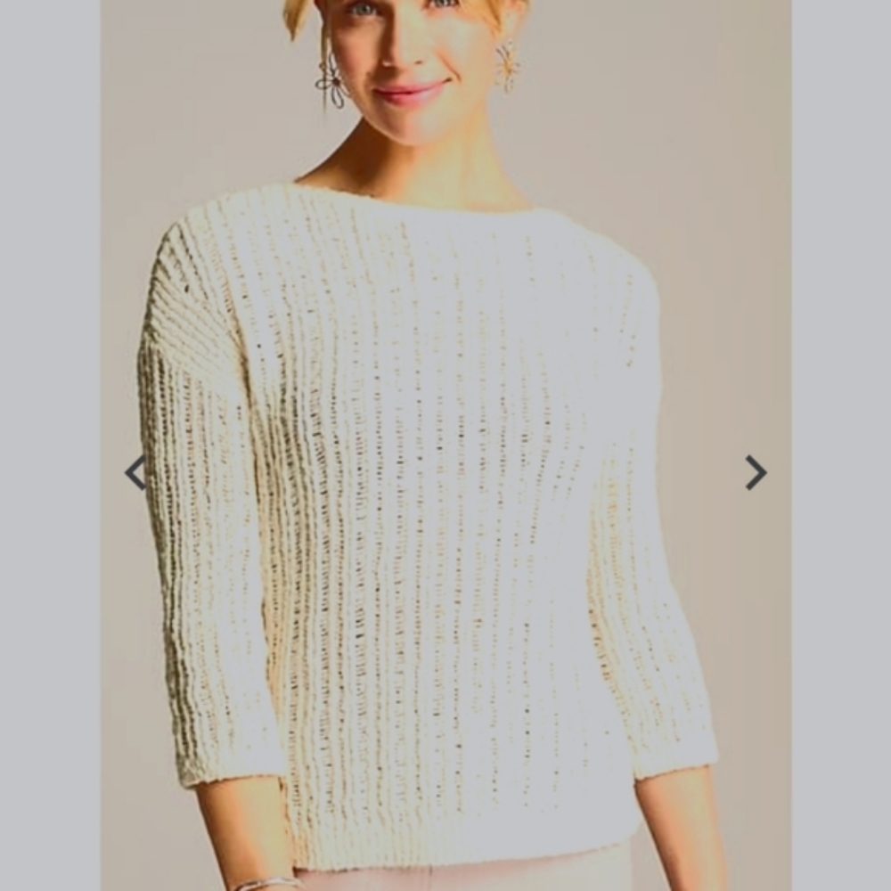 J.Jill  Sweater.  NWT